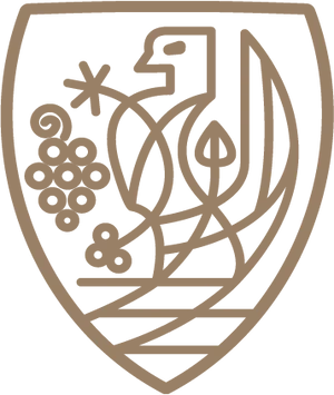 vnz.si
